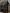 lina-verovaya-TeBKnxH_9XA-unsplash Scelerisque mauris pellentesque pulvinar